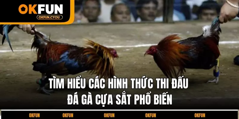 tim-hieu-cac-hinh-thuc-thi-dau-da-ga-cua-sat-pho-bien