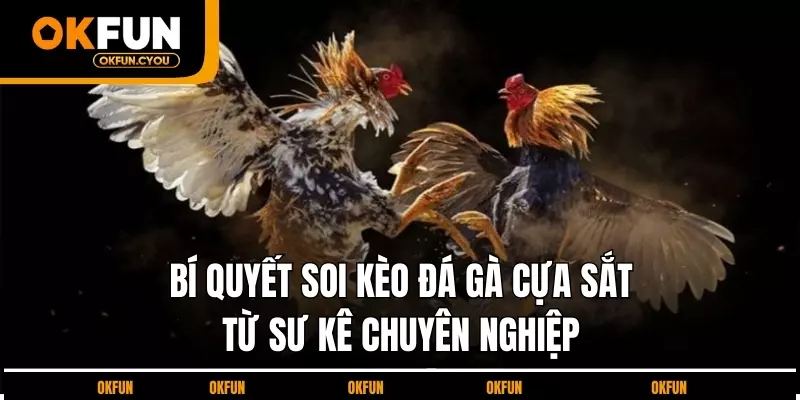 bi-quyet-soi-keo-da-ga-cua-sat-tu-su-ke-chuyen-nghiep