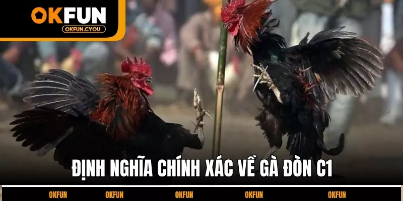 dinh-nghia-chinh-xac-ve-ga-don-c1