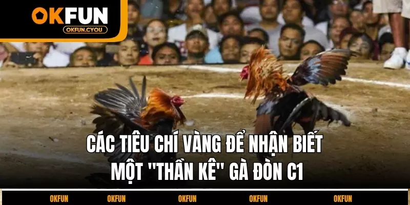 cac-tieu-chi-vang-de-nhan-biet-mot-than-ke-ga-don-c1
