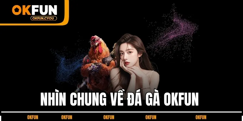 nhin-chung-ve-da-ga-okfun